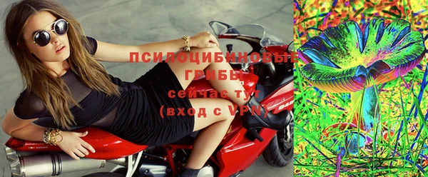 индика Кодинск