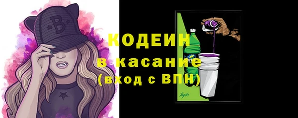 индика Кодинск