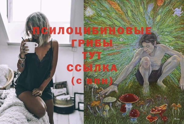 соль курить ск Козельск