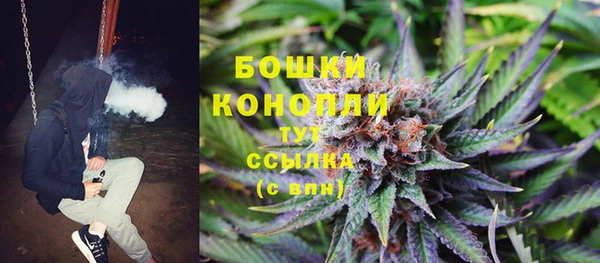 индика Кодинск