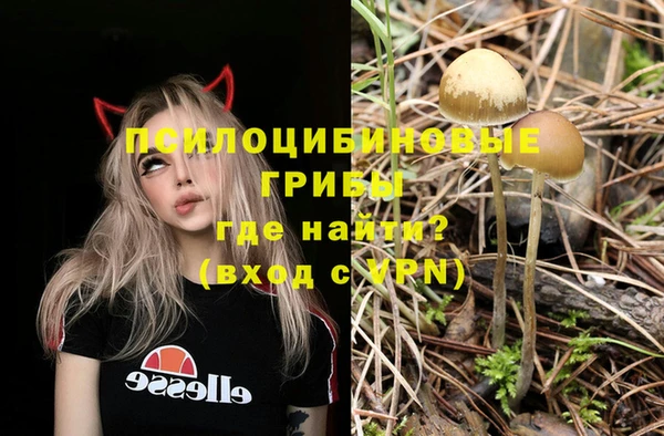 соль курить ск Козельск