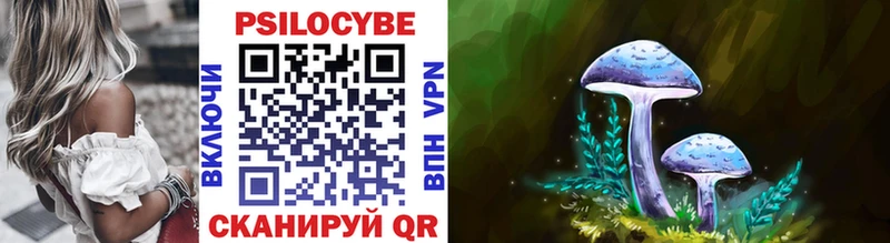 Псилоцибиновые грибы GOLDEN TEACHER  купить закладку  Ессентуки 