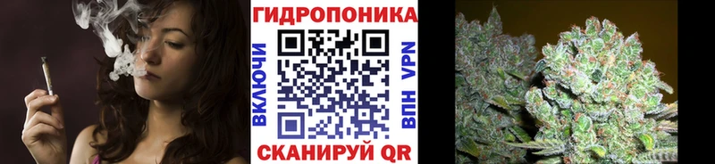 Бошки Шишки Amnesia  сайты даркнета Telegram  Ессентуки 